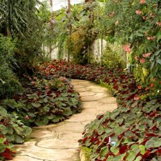 mantenimiento de jardines en benissa